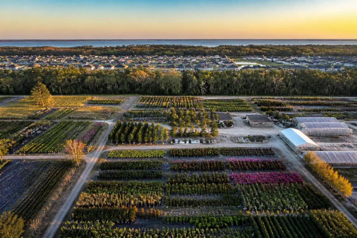 Apopka, Florida