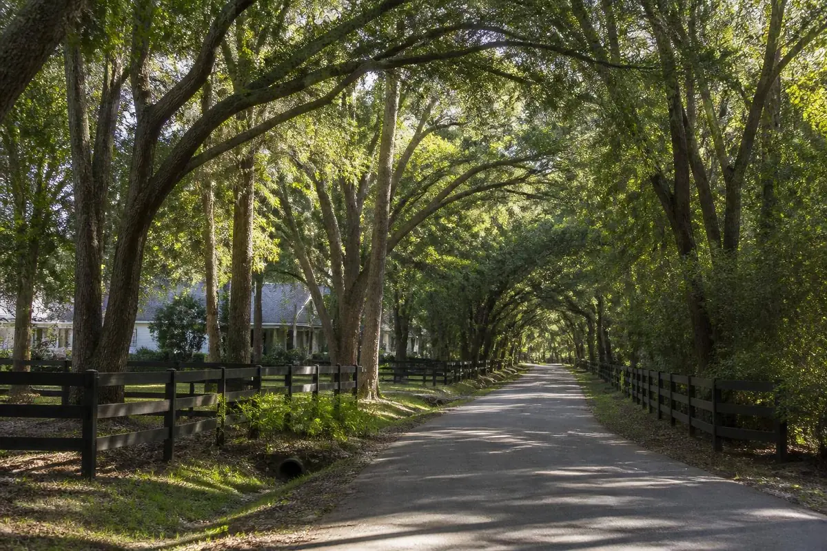 Gotha, Florida